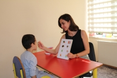 SEK�Z�NC� RENK